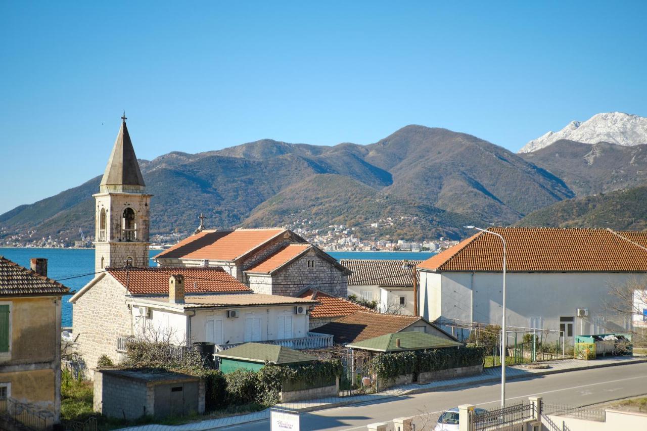 Zebra * Tivat